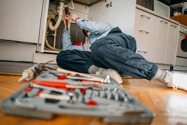 Best Local Plumber Services  in Waverly, IA