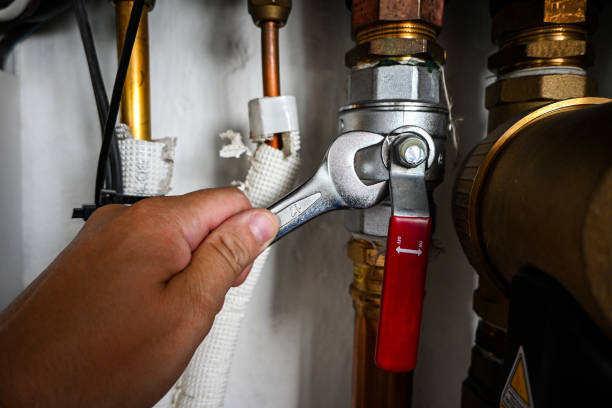 Best Emergency Plumber  in Waverly, IA